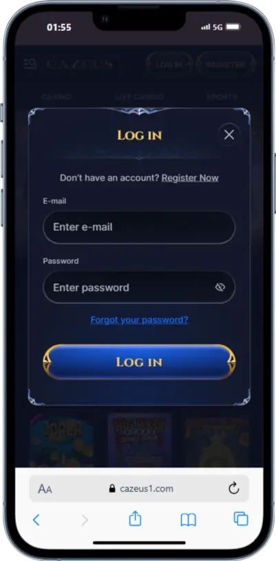 Login Process