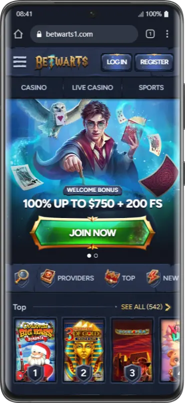 Mobile Version Betwarts