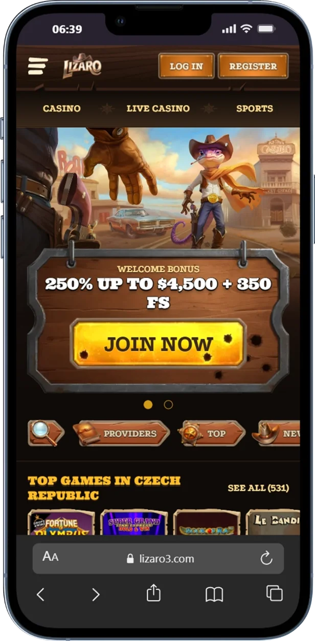 Official Website Lizaro