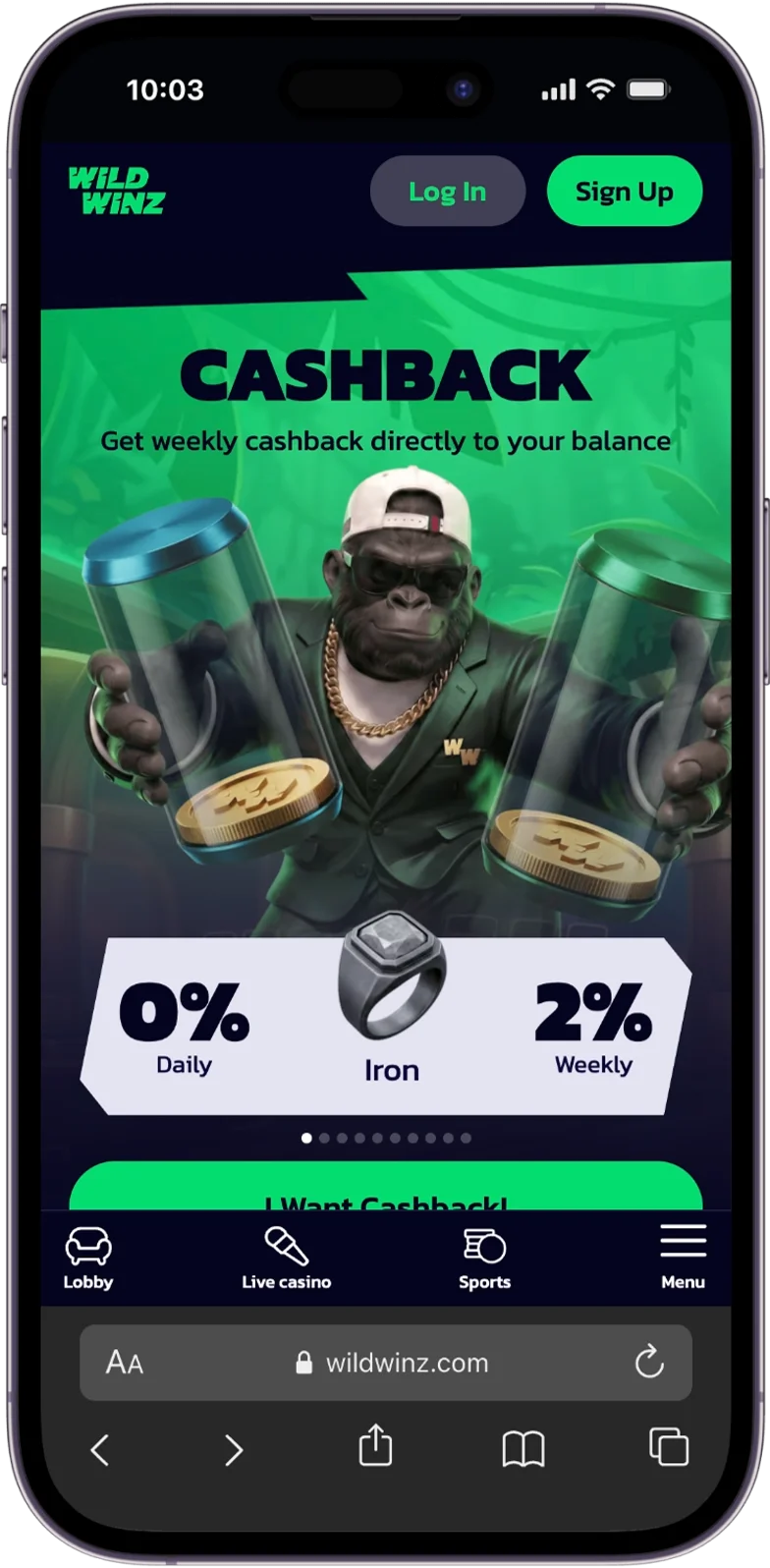 Cashback at WildWinz Casino