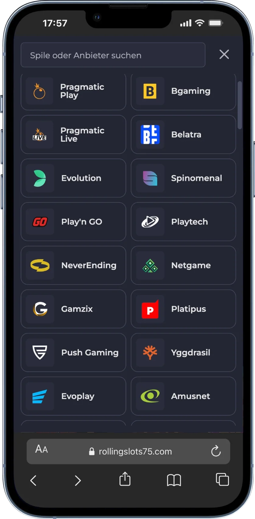 RollingSlots Casino Anbieter