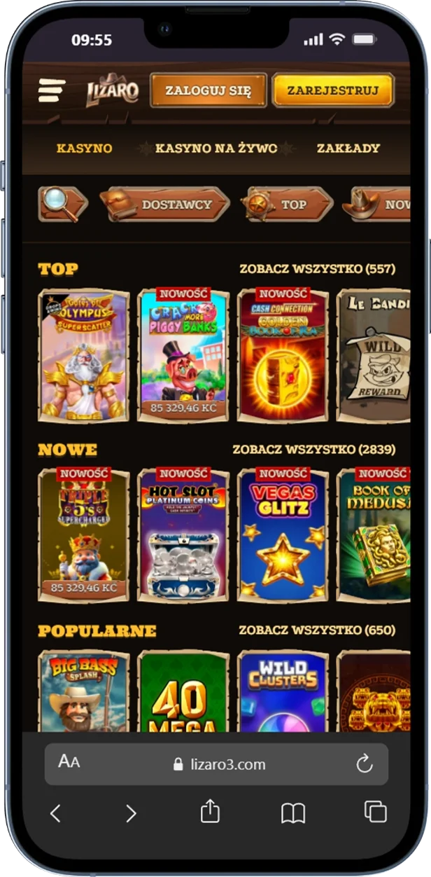 Gry online w kasynie Lizaro