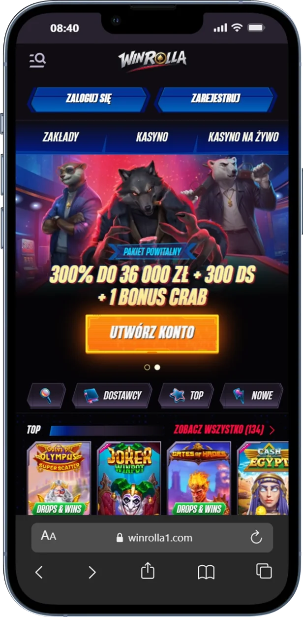 Oficjalna strona WinRolla